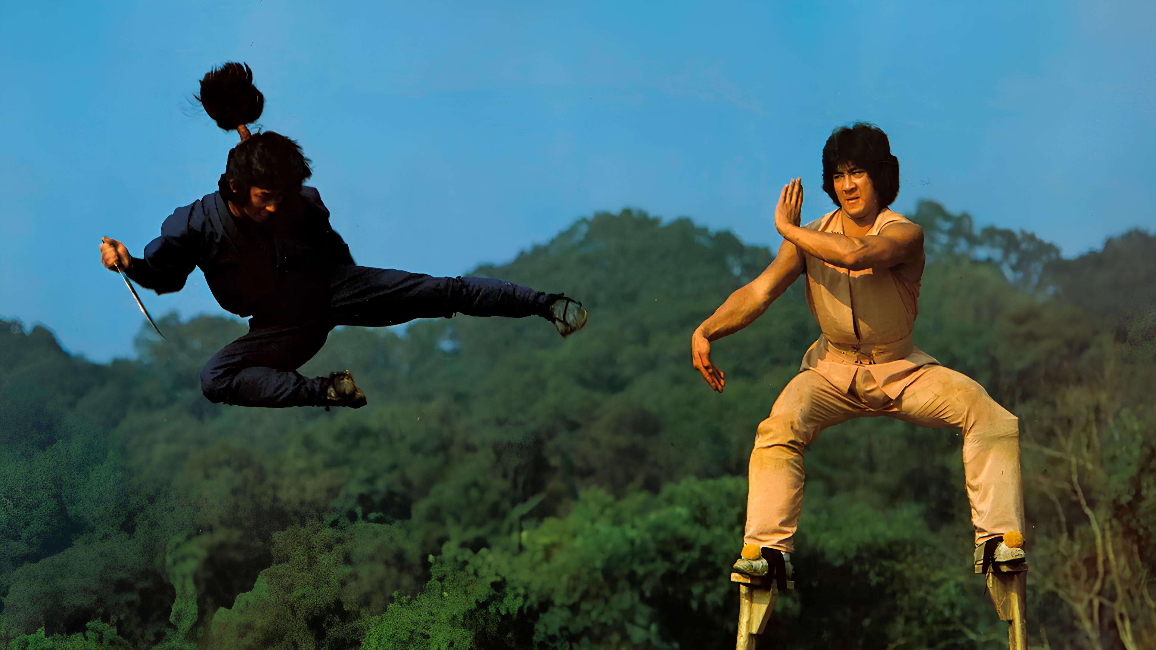Ninjas en la tierra del dragón