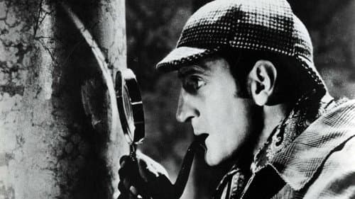 El perro de los Baskerville