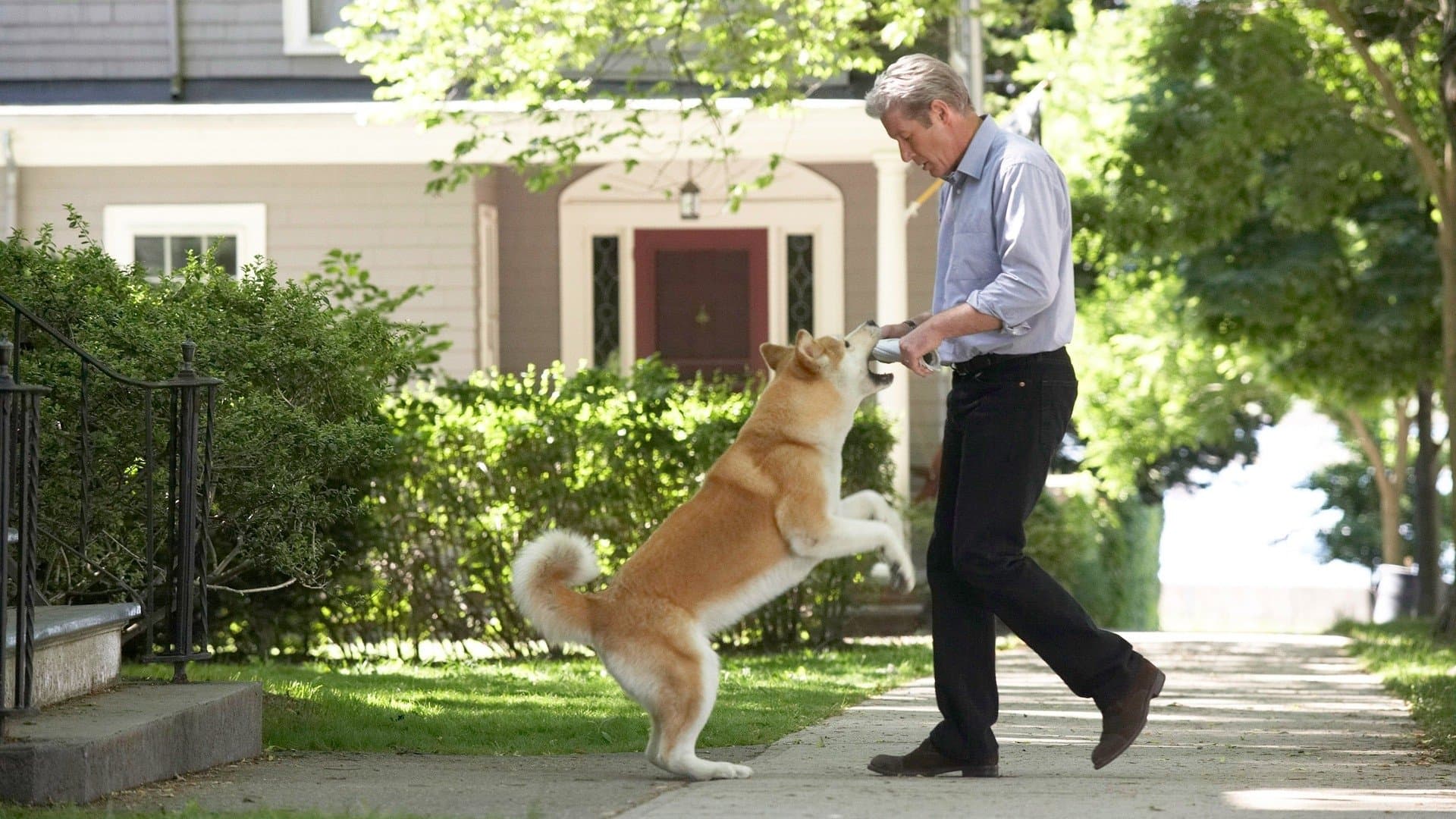 Siempre a tu lado (Hachiko)