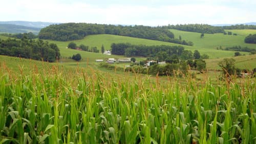 El mundo según Monsanto